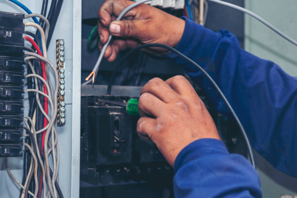 Best Licensed Electrician  in Liberty Triangle, FL