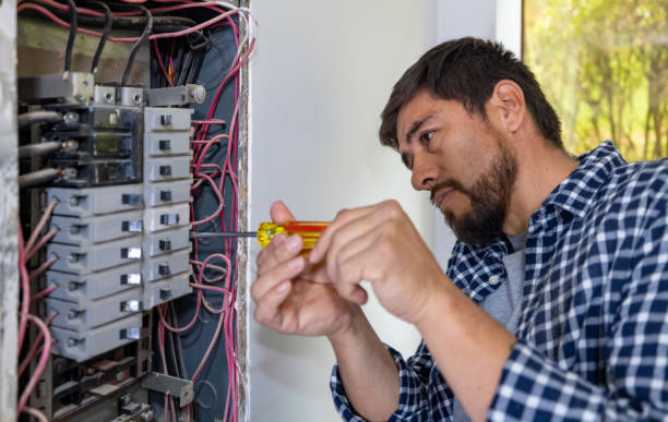 Best Electric Panel Repair  in Liberty Triangle, FL